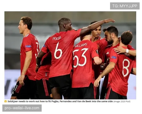 B费与罗德里中场控场能力与战术角色差异解析