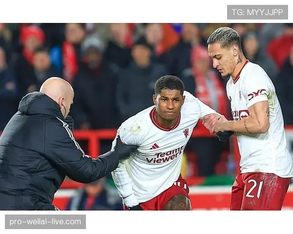 奥纳纳世界杯进球解析：国家队高光时刻背后的进攻角色与战术价值